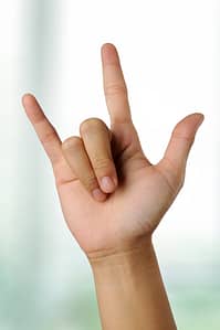 This is the sign language for I love you